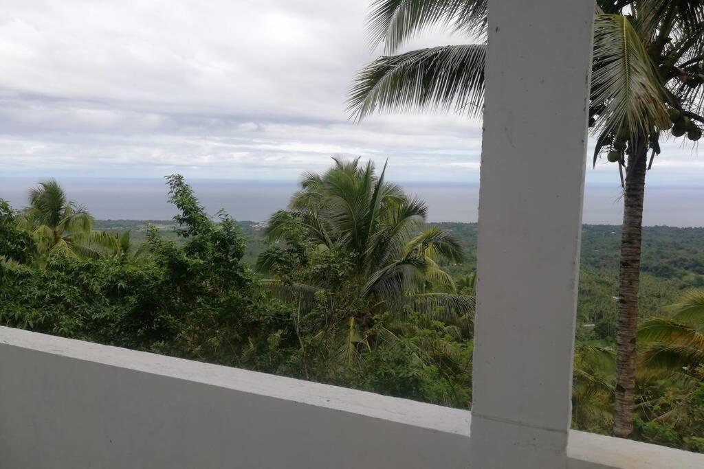 MambajaoThe Balcony Of The Camiguin Island公寓 外观 照片