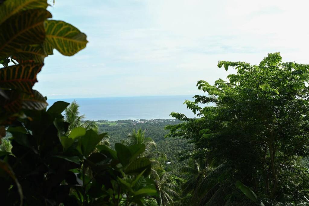 MambajaoThe Balcony Of The Camiguin Island公寓 外观 照片