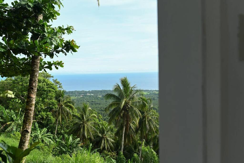 MambajaoThe Balcony Of The Camiguin Island公寓 外观 照片