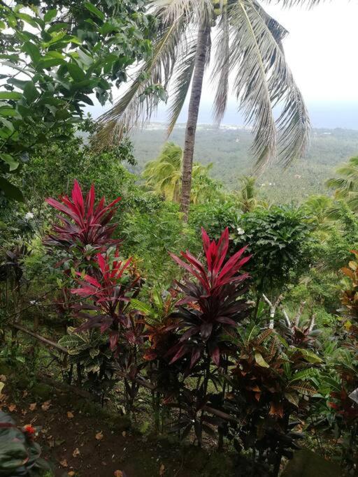 MambajaoThe Balcony Of The Camiguin Island公寓 外观 照片